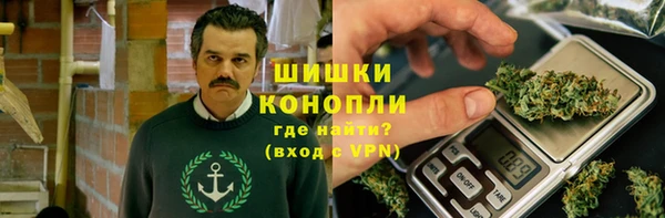 шишки Елабуга