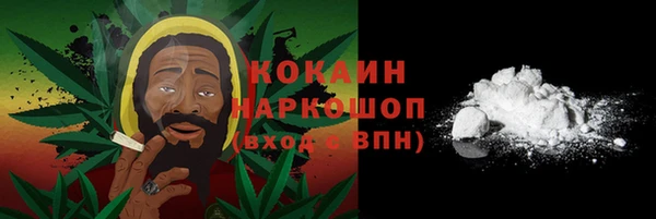 СК Елизово