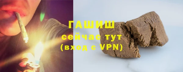 СК Елизово