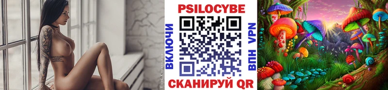 купить  цена  Буй  Галлюциногенные грибы Psilocybine cubensis 